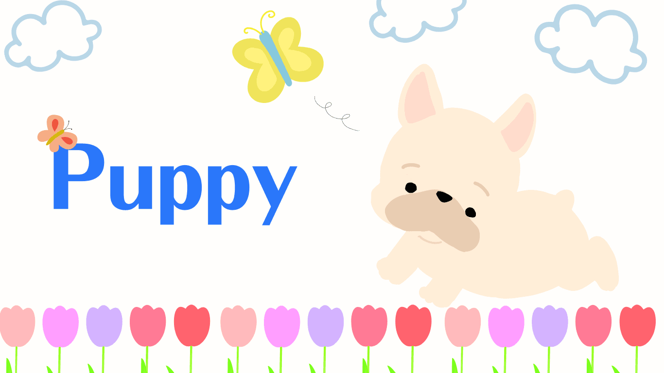 dog_content_image