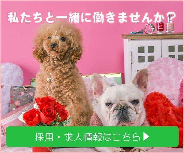 採用情報