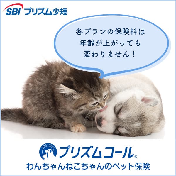 ペット保険