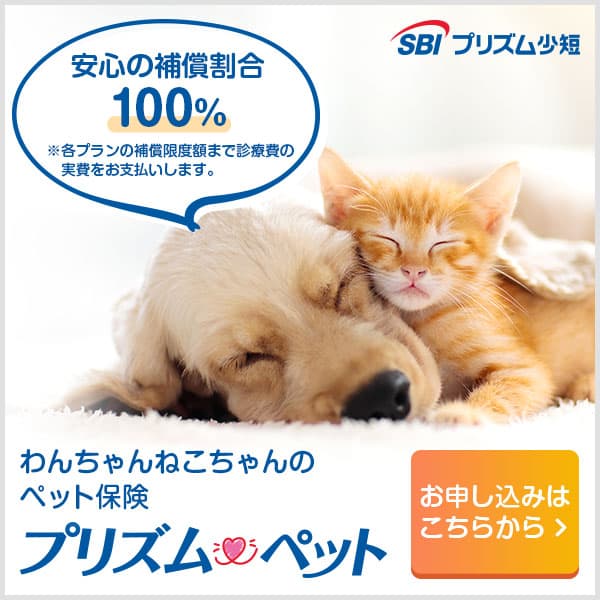 ペット保険